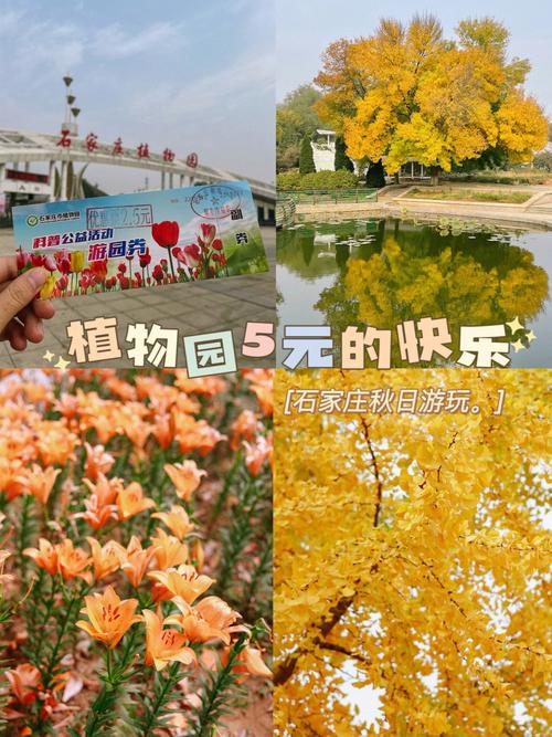 石家庄植物园门票多少?观光车收费石家庄-图3 石家庄植物园门票多少?观光车收费石家庄-图3