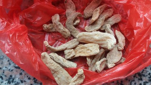 九寨沟卖的天麻是真的吗？乐山黄氏宠物收费贵吗