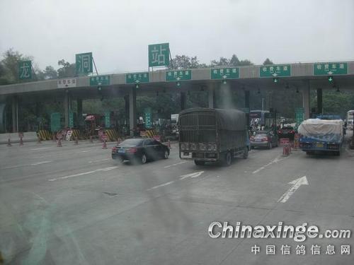 广州天河区龙洞怎么去龙归华侨医院？龙归到龙洞收费站-图3