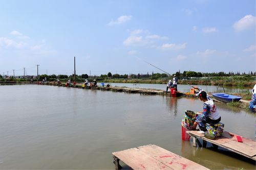 上海松江野钓地点？松江收费钓鱼的地方