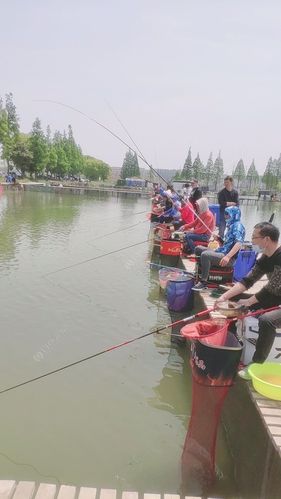 上海松江野钓地点?松江收费钓鱼的地方-图2 上海松江野钓地点?松江收费钓鱼的地方-图2