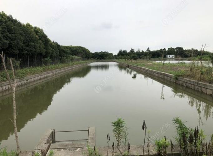 上海松江野钓地点?松江收费钓鱼的地方-图3 上海松江野钓地点?松江收费钓鱼的地方-图3