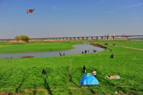 2023东西湖野钓地点推荐?武汉沙湖公园收费吗-图2 2023东西湖野钓地点推荐?武汉沙湖公园收费吗-图2