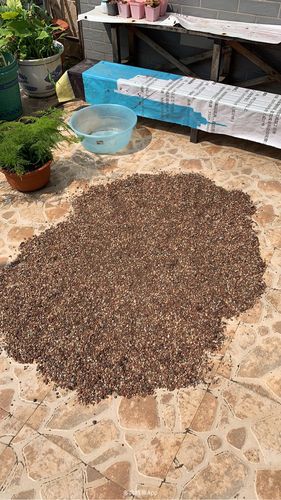 新的水泥在太阳下暴晒可以吗?新干燥石风景区收费吗-图1 新的水泥在太阳下暴晒可以吗?新干燥石风景区收费吗-图1