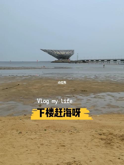 鲅鱼圈退潮赶海的最佳时间?鲅鱼圈海边不收费-图2 鲅鱼圈退潮赶海的最佳时间?鲅鱼圈海边不收费-图2