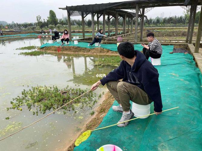重庆茶园小河沟在哪里，可以钓龙虾的地方？南充收费鱼塘