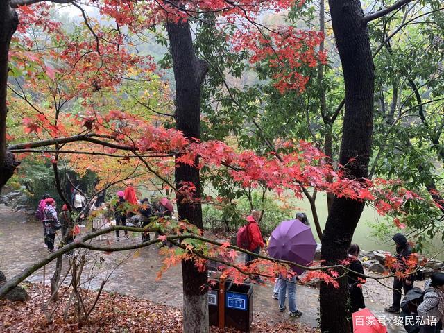 栖霞山观光车值得坐吗?栖霞山收费合理吗-图2 栖霞山观光车值得坐吗?栖霞山收费合理吗-图2