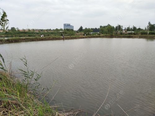 滨城区钓鱼的地方?滨州收费钓鱼的地方-图1 滨城区钓鱼的地方?滨州收费钓鱼的地方-图1