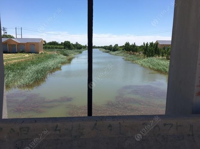 滨城区钓鱼的地方?滨州收费钓鱼的地方-图2 滨城区钓鱼的地方?滨州收费钓鱼的地方-图2