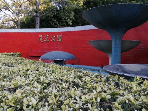 灵芝地铁站附近有啥好玩的?宝安区灵芝公园收费吗 好玩吗-图1 灵芝地铁站附近有啥好玩的?宝安区灵芝公园收费吗 好玩吗-图1
