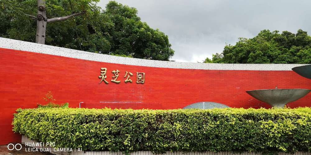 灵芝地铁站附近有啥好玩的?宝安区灵芝公园收费吗 好玩吗-图3 灵芝地铁站附近有啥好玩的?宝安区灵芝公园收费吗 好玩吗-图3