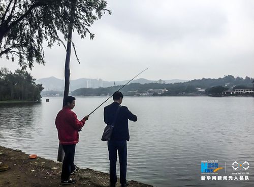 白云区南湖可以钓鱼吗?广州南湖钓鱼收费-图3 白云区南湖可以钓鱼吗?广州南湖钓鱼收费-图3