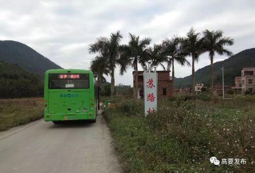 在肇庆火车站有到高要市蛟塘镇的公交车吗？坐几路公交车？肇庆公交203收费