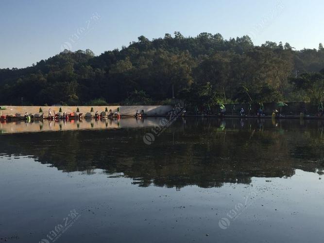 深圳钓鱼场推荐?山湖钓鱼场收费标准-图3 深圳钓鱼场推荐?山湖钓鱼场收费标准-图3