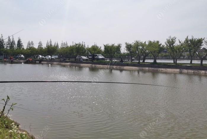 上海什么地方有免费钓鱼?上海按天收费的钓鱼点-图2 上海什么地方有免费钓鱼?上海按天收费的钓鱼点-图2