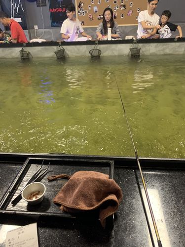 钓小龙虾馆盈利模式?钓龙虾怎么收费-图3 钓小龙虾馆盈利模式?钓龙虾怎么收费-图3