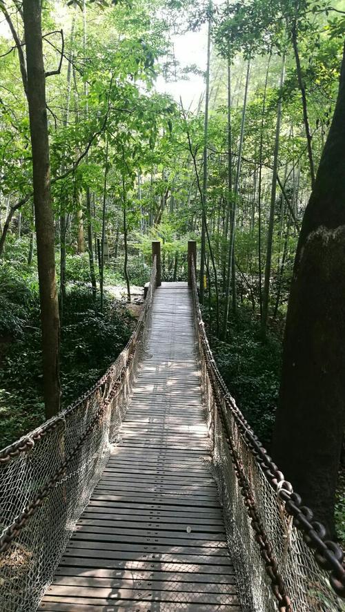 杭州云栖竹径怎么去,外地车辆有单双号限制吗?云栖竹径 停车场收费-图3 杭州云栖竹径怎么去,外地车辆有单双号限制吗?云栖竹径 停车场收费-图3