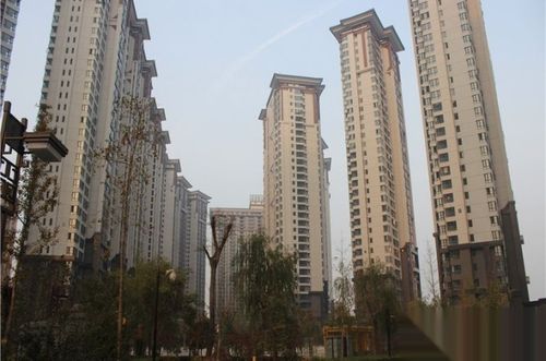 洛阳盛唐至尊为什么贵?盛唐至尊停车收费吗-图2 洛阳盛唐至尊为什么贵?盛唐至尊停车收费吗-图2