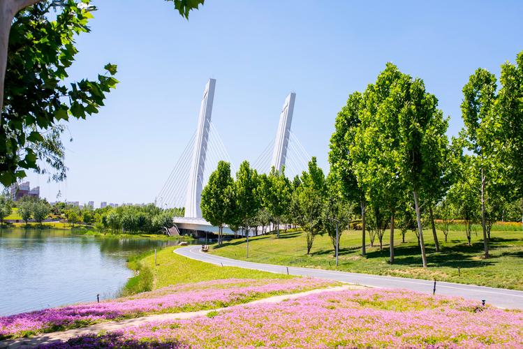 郑州各个区的景点？郑州市中原区收费鱼塘-图2