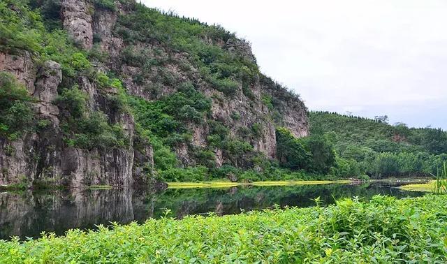 郑州各个区的景点？郑州市中原区收费鱼塘-图3