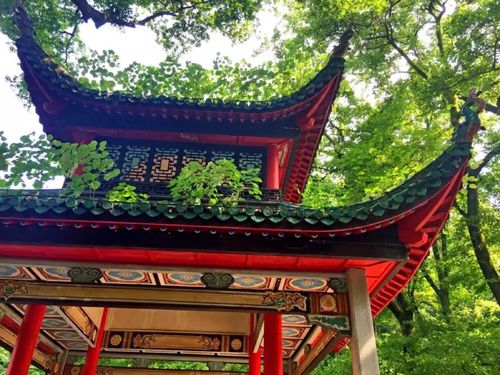 爱晚亭怎么预约?爱晚亭收费吗-图2 爱晚亭怎么预约?爱晚亭收费吗-图2
