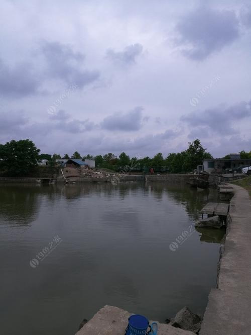 上海杨浦区有什么地方能钓鱼的？杨浦区收费钓鱼