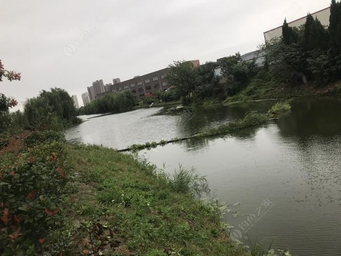 上海杨浦区有什么地方能钓鱼的?杨浦区收费钓鱼-图2 上海杨浦区有什么地方能钓鱼的?杨浦区收费钓鱼-图2