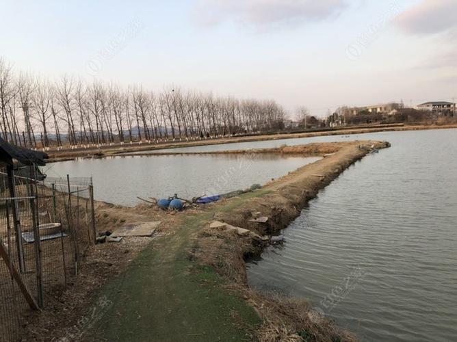南京路亚地点推荐?南京野钓按天收费的钓点-图2 南京路亚地点推荐?南京野钓按天收费的钓点-图2