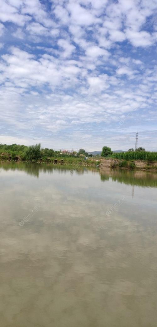 兰州周边钓鱼地点推荐?兰州附近不收费钓鱼的地方-图2 兰州周边钓鱼地点推荐?兰州附近不收费钓鱼的地方-图2