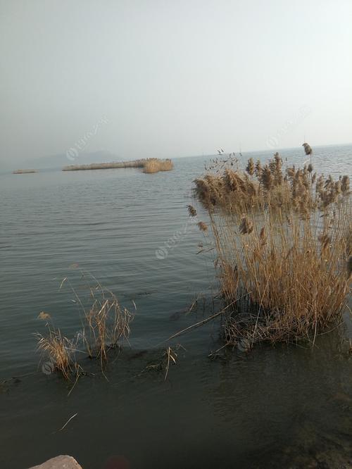 东平湖开湖了能钓鱼吗?东平湖里钓鱼收费吗-图1 东平湖开湖了能钓鱼吗?东平湖里钓鱼收费吗-图1