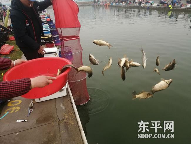 东平湖开湖了能钓鱼吗?东平湖里钓鱼收费吗-图2 东平湖开湖了能钓鱼吗?东平湖里钓鱼收费吗-图2