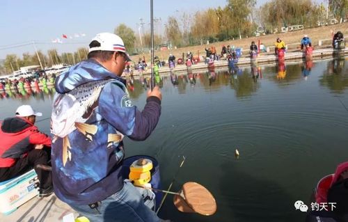东平湖开湖了能钓鱼吗?东平湖里钓鱼收费吗-图3 东平湖开湖了能钓鱼吗?东平湖里钓鱼收费吗-图3