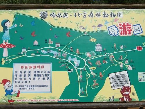 北方森林动物园哪个停车场离正门近？北方森林动物园高速收费