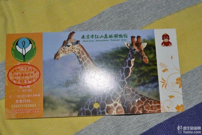 南京的公园年卡有几种?都怎么用,各多少钱?南京红山森林动物园停车场收费标准-图1 南京的公园年卡有几种?都怎么用,各多少钱?南京红山森林动物园停车场收费标准-图1