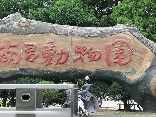 南昌新动物园游玩攻略?南昌新动物园停车场要收费吗-图1 南昌新动物园游玩攻略?南昌新动物园停车场要收费吗-图1