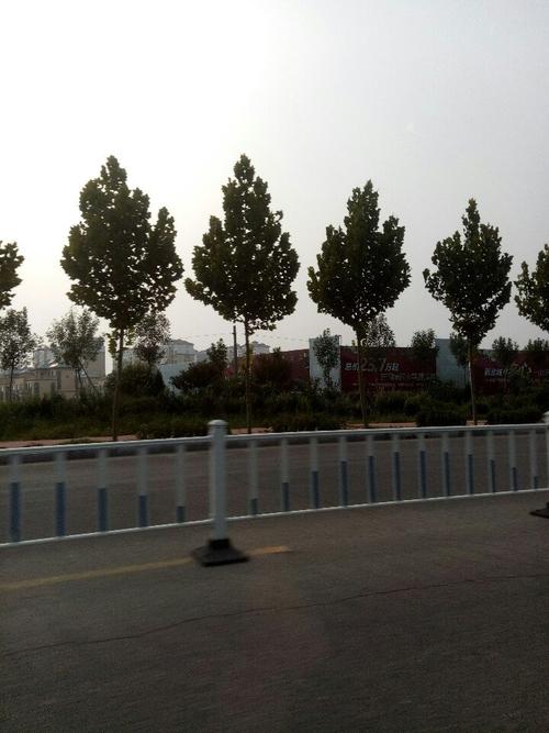 垦利永胜驾校学费多少?垦利黄河大桥收费-图2 垦利永胜驾校学费多少?垦利黄河大桥收费-图2