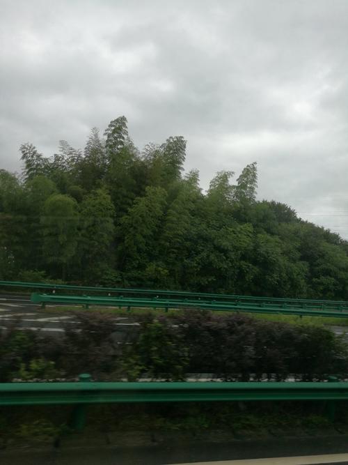 梅山服务区属于哪个城市?g42 六安 金寨 收费站-图3 梅山服务区属于哪个城市?g42 六安 金寨 收费站-图3
