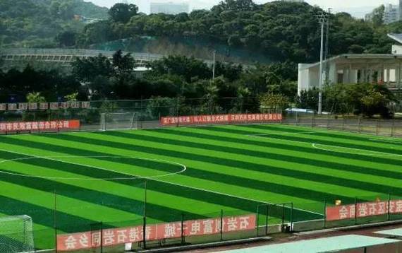 深圳公明足球场?深圳足球场收费-图3 深圳公明足球场?深圳足球场收费-图3