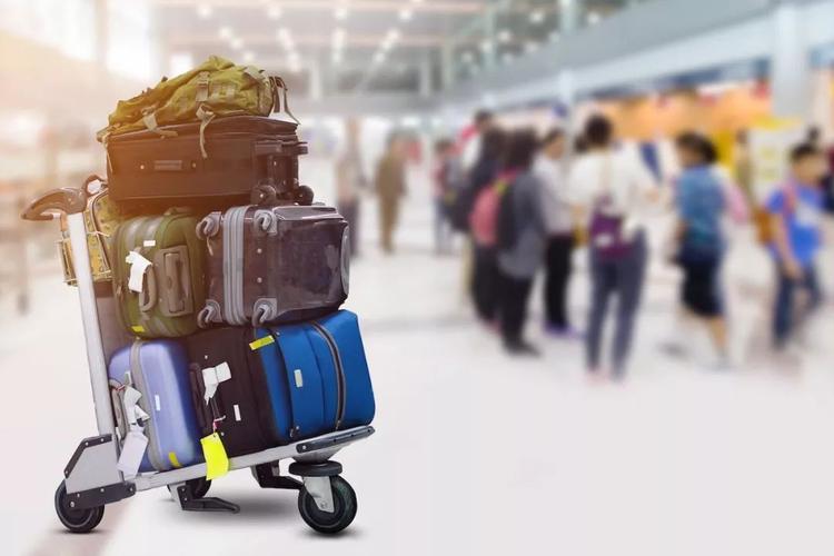 从欧洲回国对行李的要求?汉莎航空行李超重收费-图3 从欧洲回国对行李的要求?汉莎航空行李超重收费-图3