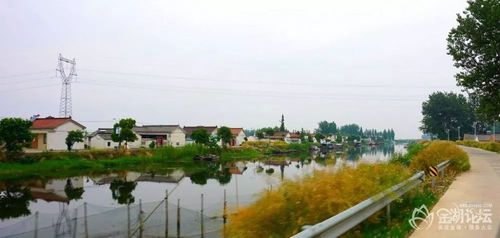 平湖市有什么好玩的地方?杭州白马湖渔村怎么收费-图3 平湖市有什么好玩的地方?杭州白马湖渔村怎么收费-图3
