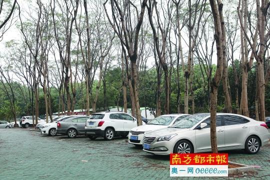 光明红桥公园停车收费吗?光明广场地下停车场收费-图3 光明红桥公园停车收费吗?光明广场地下停车场收费-图3