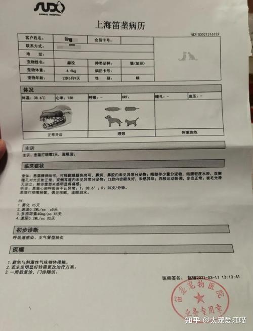 宠物做核磁，还有脑部手术得多少钱？深圳宠物医院收费标准