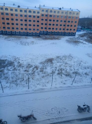 2021年黑龙江双鸭山的雪大不?双鸭山市天气情况-图2 2021年黑龙江双鸭山的雪大不?双鸭山市天气情况-图2