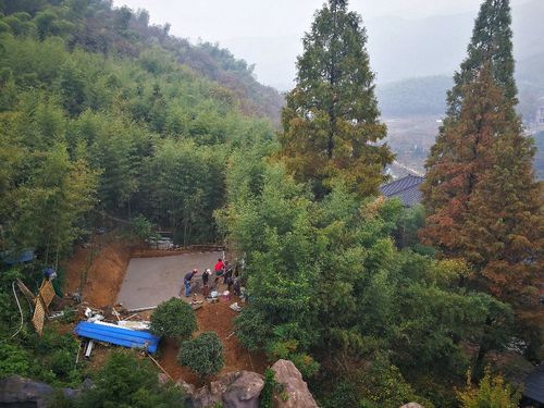 莫干山11月份适合去吗?莫干山20号天气情况-图3 莫干山11月份适合去吗?莫干山20号天气情况-图3