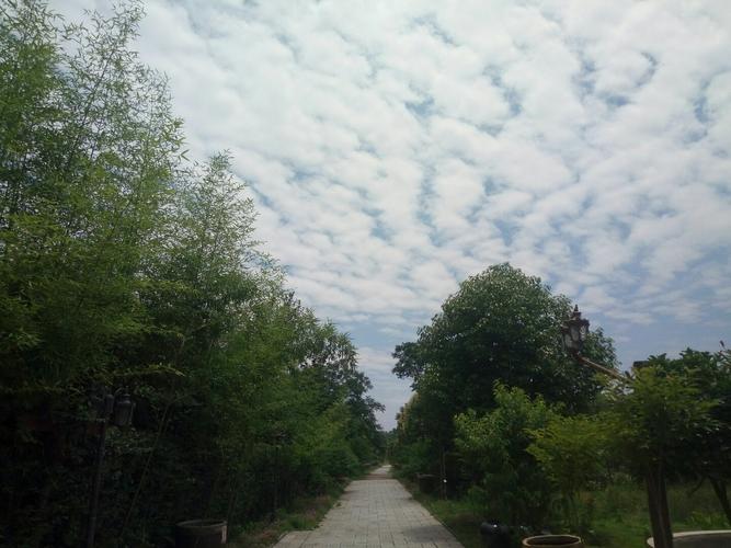 新野属于哪个市?新野的天气情况-图2 新野属于哪个市?新野的天气情况-图2