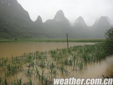巴马潮湿吗？巴马5月份天气情况-图1