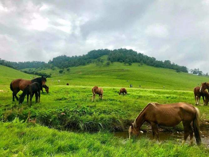 十一去关山牧场冷不冷？关山牧场天气情况