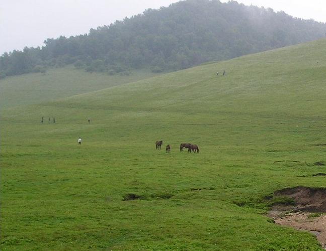 十一去关山牧场冷不冷?关山牧场天气情况-图3 十一去关山牧场冷不冷?关山牧场天气情况-图3