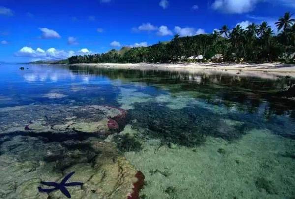 斐济一年四季的气候?斐济天气情况-图1 斐济一年四季的气候?斐济天气情况-图1