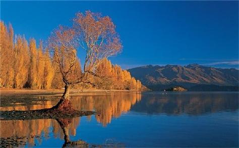 新西兰天气预报一周?新西兰一月天气情况-图3 新西兰天气预报一周?新西兰一月天气情况-图3